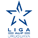 Primera Division logo