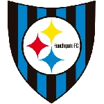 Huachipato logo de equipe