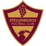 Stellenbosch logo