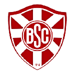 Botafogo-BA logo de equipe