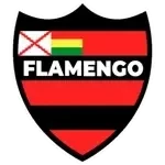 Flamengo de Sucre Team Logo