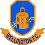Wellington logo de equipe