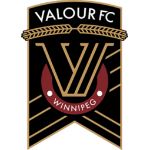 Valour Team Logo