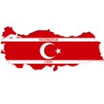 Vatanspor W Logotipo del equipo