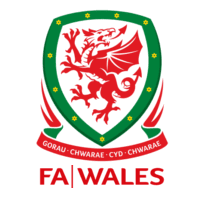 FAW Championship South logo