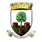 Wells City Team Logo