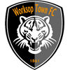 Worksop Town logo