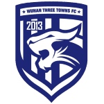 Wuhan Three Towns Logo
