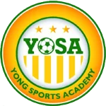 Young Sport Academy Team Logo