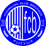 Breznica Women logo
