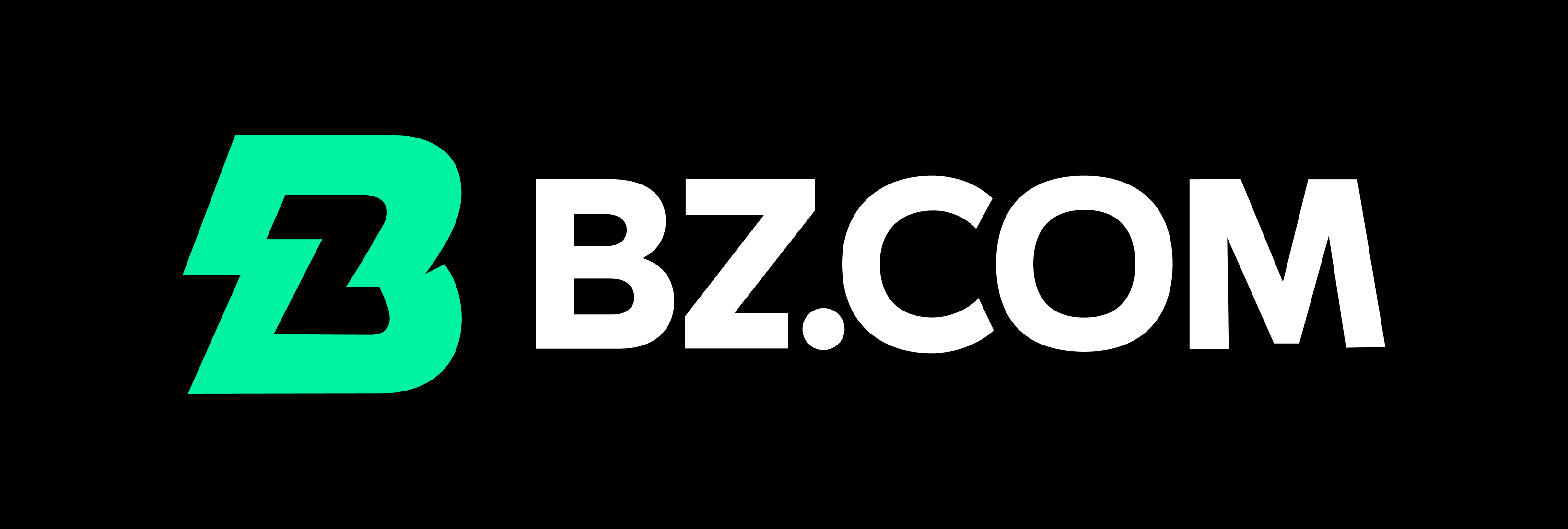 bz logo